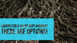 Looking for a Cheap Root Barrier? There are Options!