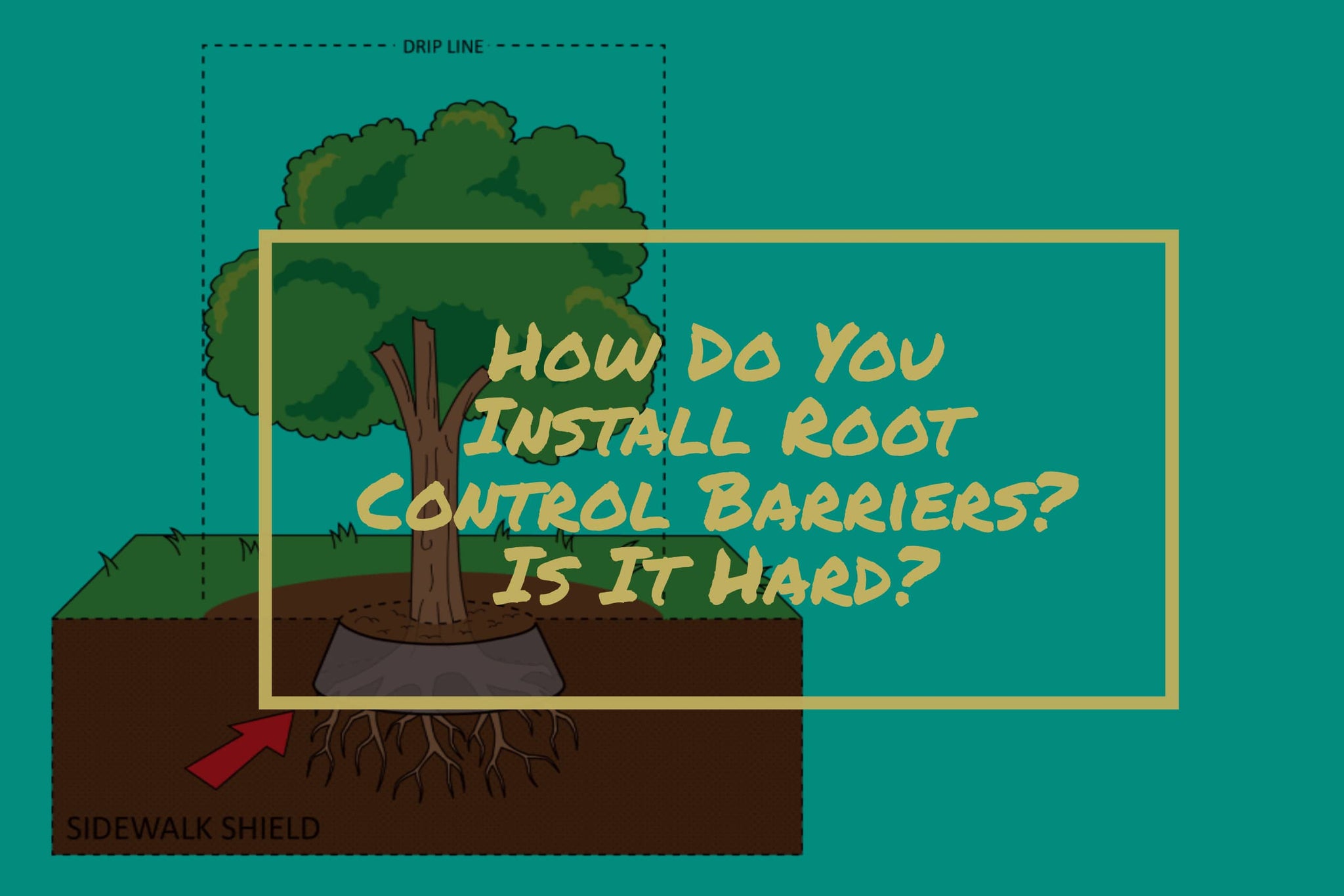 How Do You Install Tree Root Control Barriers? Is it Hard to Install Root Barrier Products?