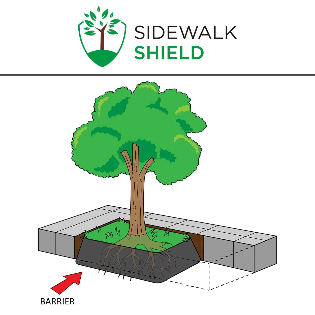 Installation method 2 - Install tree root barrier around multiple trees for a larger growing area.