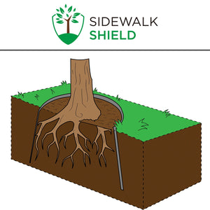 Installation method 1 - Surround a single tree with the tree root barrier