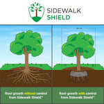 Load image into Gallery viewer, Shows how invasive tree roots can be without root barriers installed like Sidewalk Shield

